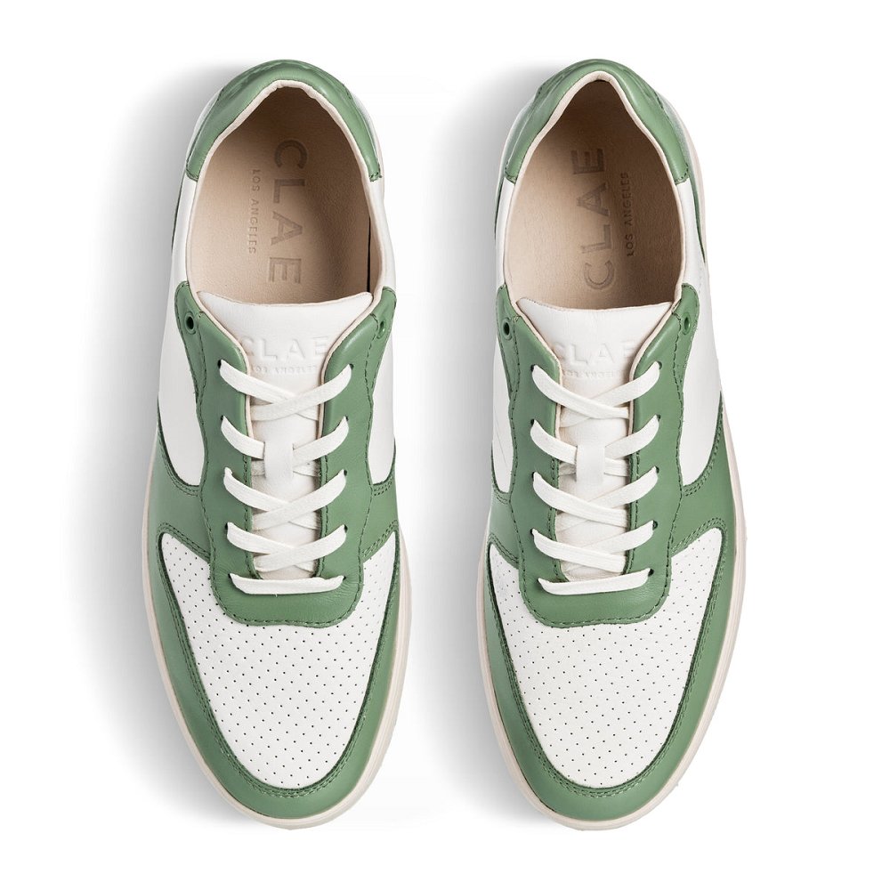 CLAE MALONE Shoes Mens USA568-Y14 In Menta Leather Off White